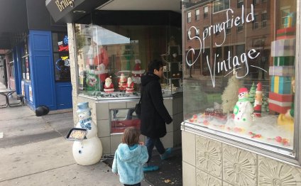 Shops in Springfield